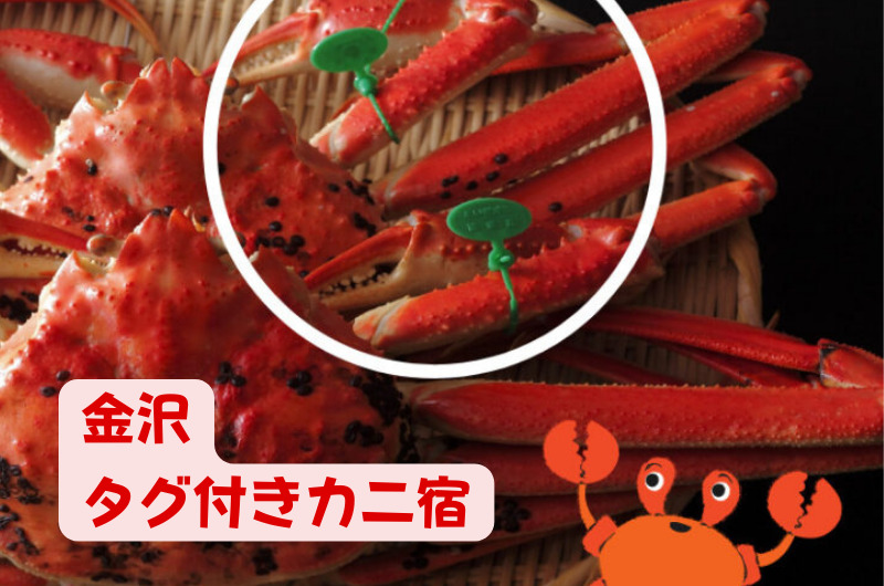 金沢｜タグ付きブランド蟹が食べられるオススメ宿
