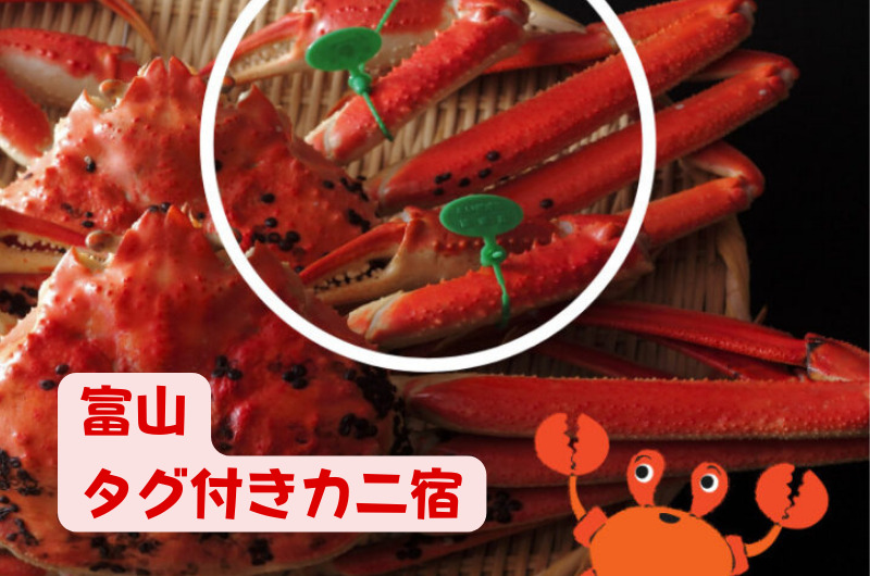 富山｜タグ付きブランド蟹が食べられるオススメ宿